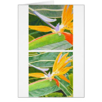 "Bird of Paradise" by Keith Moreau cards