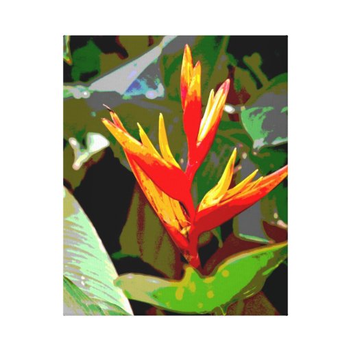 Bird of Paradise Canvas Gallery Wrapped Canvas