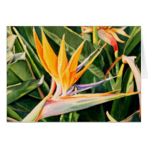 Bird of Paradise Card by MaryKayWilson Bird of Paradise Card