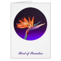 Bird of Paradise cards