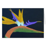 Bird Of Paradise Cards