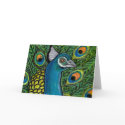 Bird of Paradise card