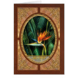 Bird of Paradise Cards