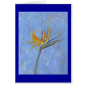 Bird of Paradise cards