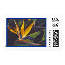 bird of paradise flower 2 stamp