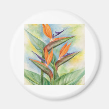 Bird Of Paradise Flower Art - Multi Magnet