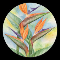 Bird Of Paradise Flower Art - Multi stickers