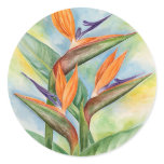 Bird Of Paradise Flower Art - Multi stickers