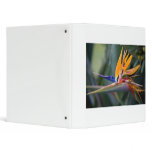 Bird of Paradise flower 3 Ring Binder