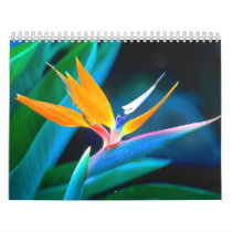 Bird Of Paradise Flower calendars by DorkaReyes Bird Of Paradise Flower calendars