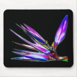 Bird of Paradise Flower (Colored Foil Effect) Mouse Pad