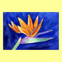 Bird of Paradise Flower Painting Art Poster Prints posters