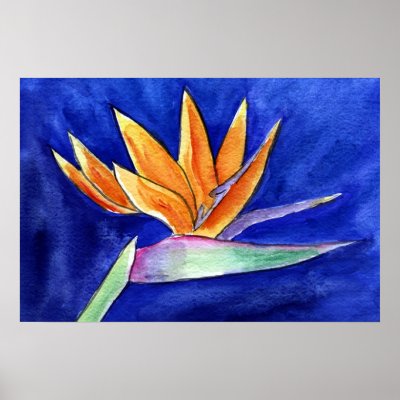 Bird of Paradise Flower Painting Art Poster Prints by donnabellas