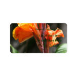 Bird of Paradise Flower Photograph Personalized Address Labels