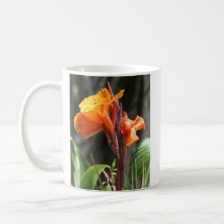 Bird of Paradise Flower Photograph mug