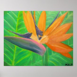 Bird of Paradise Flower Poster zazzle_print