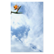 Bird of Paradise Flower Custom Stationery
