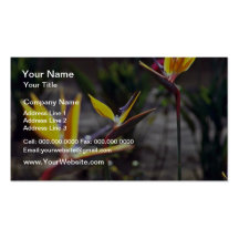 Bird Of Paradise flowers Business Cards