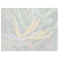 Bird of paradise  flowers personalized letterhead