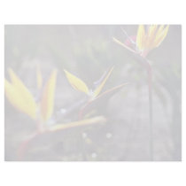 Bird Of Paradise flowers Personalized Letterhead