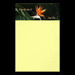 Bird of Paradise "From the Desk of" Stationery