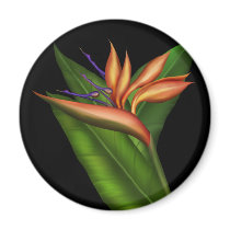 Bird Of Paradise Full Magnet by Skydancer Bird Of Paradise Full Magnet