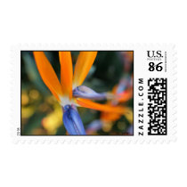 Bird of Paradise - Gorgeous Postage Stamps