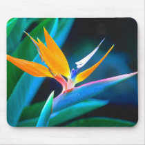 Bird Of Paradise (Hawaii) Mousepad