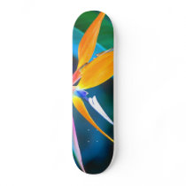 bird of paradise hawaii skateboard