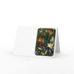 Bird of Paradise II Greeting Cards