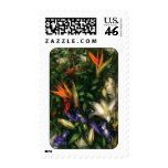 Bird of Paradise II Postage Stamp
