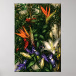 Bird of Paradise II Posters