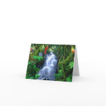 Bird of paradise in rain forest greeting cards