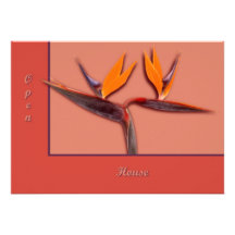 Bird of Paradise Invitations