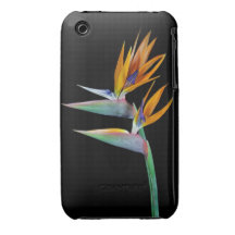 Bird of Paradise iPhone 3 Case-Mate Case