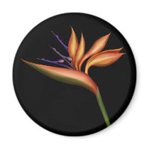 Bird Of Paradise Magnet by Skydancer Bird Of Paradise Magnet