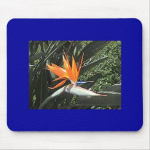 Bird-Of-Paradise Mousepad