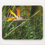 Bird of Paradise Mousepad