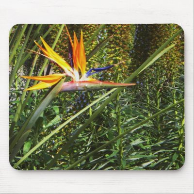 Bird of Paradise Mousepad by GardenHarbor