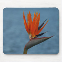 bird of paradise mousepad by cardart bird of paradise mousepad