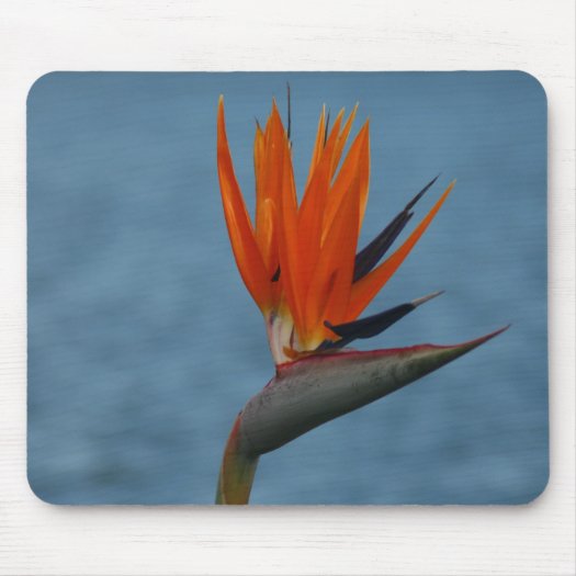 bird of paradise mousepad