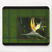 Bird of Paradise Mouse Mat