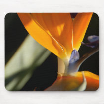 Bird of Paradise Mousepad