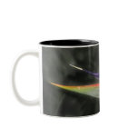 Bird of Paradise Mugs