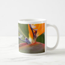 Bird of Paradise Mug