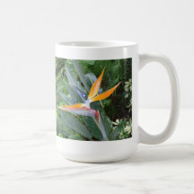 Bird of Paradise mug