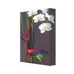 Bird-of-Paradise Orchids Stretched Canvas Print