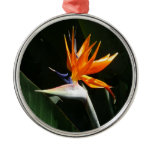 Bird of Paradise Ornament