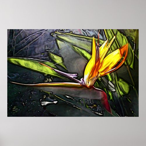 Bird Of Paradise Painting print