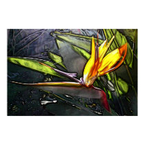 Bird Of Paradise Painting posters